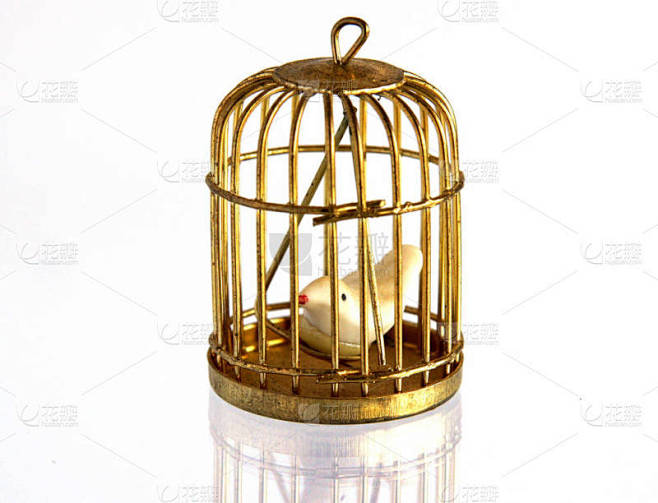 复古金色鸟笼