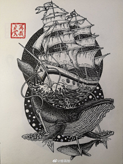 暹罗布偶猫采集到手绘