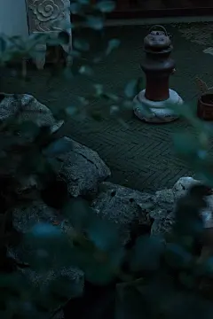 采集图片