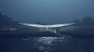Ngurra-Cultural-Precinct-WAX-viewGravity_e86bd4a6d02e0c9fb7293fdbaf550166