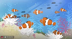 小丑鱼尼莫海洋世界海底珊瑚旅行插画 旅游出行 水上乐园
