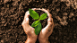 TastyBasics - We love whole foods : De natuur biedt alles wat je nodig hebt. Niets meer en niets minder. Precies goed zoals het is.