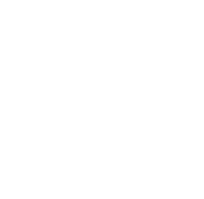 聚焦 点缀