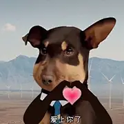 聚光与灯