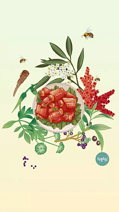 菜鸟涅槃采集到美食插画