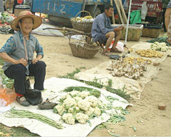 一路向北旅行采集到山东临沂特产自制红薯粉皮