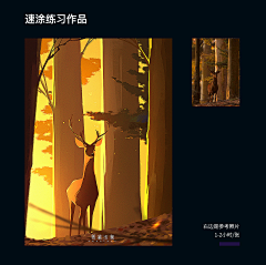 马达是只猫采集到光影