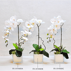 E-ric陈采集到花艺绿植  Fllowers & Plants