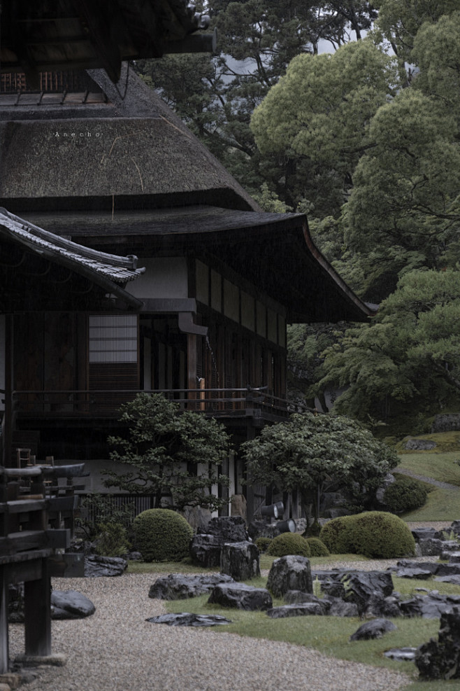 初夏 被雨水浸泡过的一片绿
「京都」

...