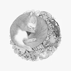 DENISE NESTOR写实睡眠的动物铅笔黑白插画[5P] (2).jpg