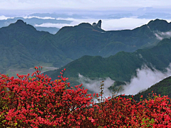 深谷小溪采集到风景