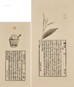 茶言111采集到线描