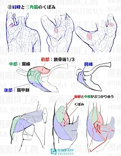 漫画手绘人体怎么画？一步步教你画漫画手绘人体