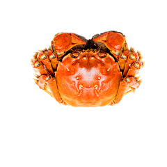 蔡啊真是菜采集到食材类素材