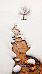 雪中蜿蜒小路风景高清手机图片下载_风景壁纸_手机壁纸_主题之家下载站