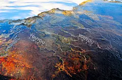 美丽风景 土耳其摄影 热气球 羚羊谷 森林公路 波涛大海 壁纸-淘宝网