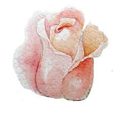 手绘花 蝴蝶 叶子 花环 钻石 花瓣 png素材
