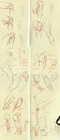 anatomy dump 1 by kakimari