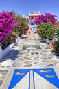 礼拜堂花园，希腊米科诺斯岛