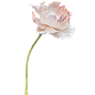 花1