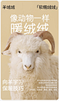 猫人羊绒蚕丝秋衣秋裤套装女士无痕德绒保暖内衣加绒加厚打底冬季-tmall.com天猫