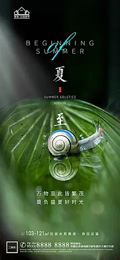 夏至推广宣传海报