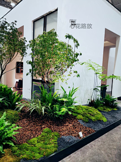 yvonnefeng采集到室内景观