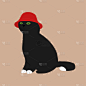 可爱的黑猫戴着红色的帽子。