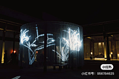 Echo-Mr采集到灯光