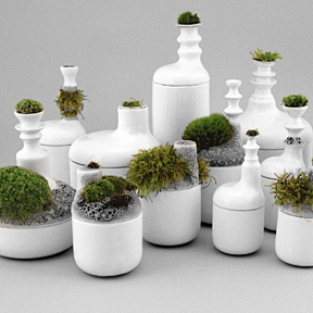 苔藓植物版1：莫斯罐|美国工业设计师协会...
