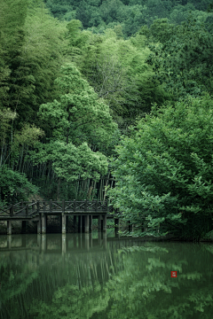 罗什佛桑采集到场景（摄）