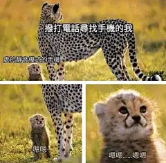 手机找不到的时候，智能静音模式。
背着人偷偷看*片的时候，直接音量外放MAX。
