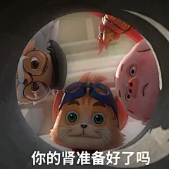 探探猫表情包：如果不能一夜暴富，两夜我也是可以接受的！01