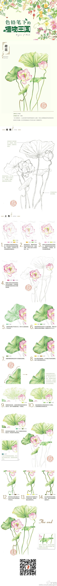 CICI-zhou采集到插画类