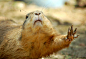 High Five Its FRIDAY!!! | Flickr – 相片分享！