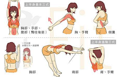 馋猫小姐采集到拉伸