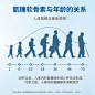 百度识图搜索结果