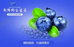 水果海报 【酷图网】水果海报,水果广告,新鲜水海报,水果店,有机水果海报,绿色食品海报,蔬果海报,蔬菜,绿色食品,绿色水果,水果店海报,水果厂,水果采购,农场,水果农场,健康,无公害,有机水果,嫁接水果,优质水果,新鲜水果,水果零售,绿色产品,蔬菜店海报,水果口味,水果拼盘,甜品海报,超市,超市海报,超市水果