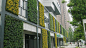 植物墙案例,立体绿化绿化案例,垂直绿化项目,墙体绿化项目,绿植墙工程图-上海海纳尔（迩）公司