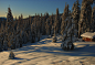 Sequoia Sunrise Cabin
Pat Dwyer
The morning after a large winter storm dropped five feet of snow in Sequoia National Park. Located at an altitude of 7,500 feet, it is not unusual to get snowed in for a day or so.