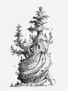 古树高清素材 png 设计图片 免费下载 页面网页 平面电商 创意素材 png素材