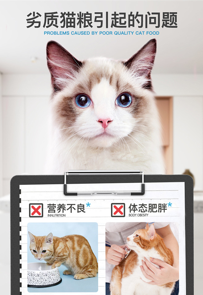 俏贝丽猫粮5斤幼猫成猫包邮深海鱼味英短蓝...
