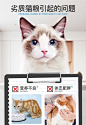 俏贝丽猫粮5斤幼猫成猫包邮深海鱼味英短蓝猫2.5kg低盐去毛球美毛-tmall.com天猫