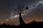 Mark Dumbleton在 500px 上的照片Under an African Sky