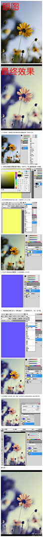 【教程】photoshop利用纯色图层快速打造中性蓝色花朵图片只需有三步，前两步是用纯色图层来完成。颜色也比较好选取，需要的是蓝黄色，因此这两个纯色层分别设置为这两种颜色，然后适当改变图层混合模式及透明度就可以快速上色。后面再适当降低饱和度做成中性色效果即可（via:洛杉矶的恶魔）