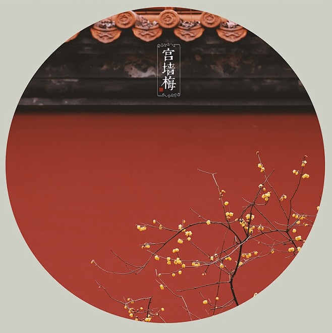 宫墙梅