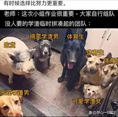 逆天图片大全-逆天高清好看的图片--花瓣苦命的贝师傅的画板