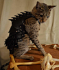 【图片】手工“猫咪皮盔甲”，这是要出去PK吗【皮甲吧】_百度贴吧
