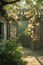 赏花/小院春色