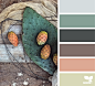 prickly pear palette